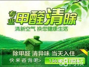 母嬰甲醛治理服務工裝家裝除甲醛工廠,空氣凈化提供甲醛檢測、汽車除醛、甲醛治理/除甲醛服務